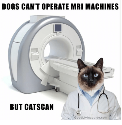 dogs-cant-operate-mri-machines-but-cat-scan-goodlivingguide-com-18817949.png